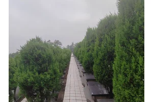 重庆江北墓园简介